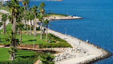 هل تعيد مديرة وكالة “مارشيكا” النظر في رخص ومشاريع عهد سعيد؟