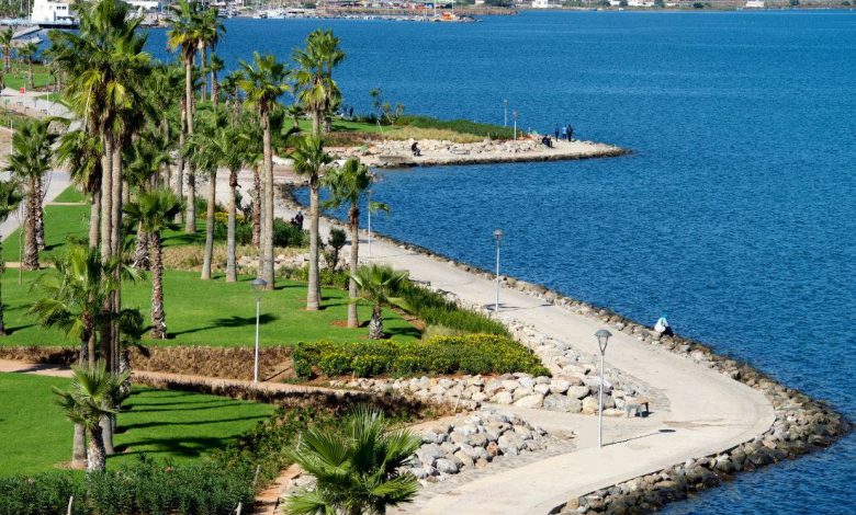 هل تعيد مديرة وكالة “مارشيكا” النظر في رخص ومشاريع عهد سعيد؟