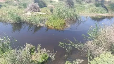 الناظور: روائح الموت تملأ هواء بوعرك… والسكان يطلقون نداء استغاثة