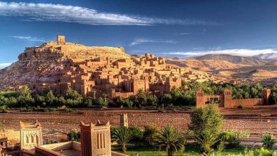 تفوق قيمته 60 مليار دولار.. شركة كندية تعلن عن اكتشاف معدني باقليم وارزازات