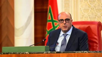 ولد الرشيد: “لا مكان للأجندات الجيوسياسية في قضية الصحراء المغربية”