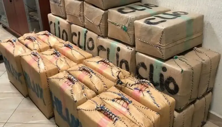 صورة من الأرشيف