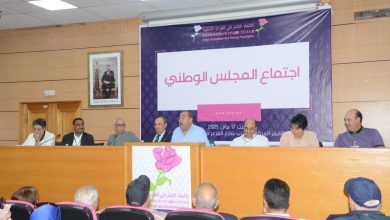 إنتخاب يوسف أيدي رئيسًا للجنة التحضيرية للمؤتمر الوطني للاتحاد الاشتراكي