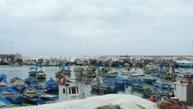 ارتفاع بـ28% في مفرغات الصيد بميناء المضيق