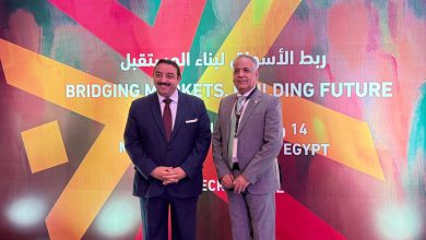 الشرقاوي: مصر والمغرب يشكلان ركنًا في التكاملية الإفريقية