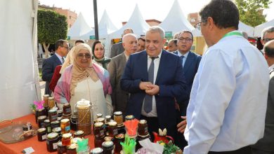 خنيفرة .. معرض يبرز مساهمة المبادرة الوطنية للتعريف بالمنتجات المجالية وتسويقها