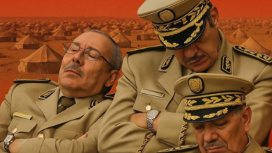 البوليساريو وإيران.. تحالف ظل “الشر” الذي يهدد شمال إفريقيا