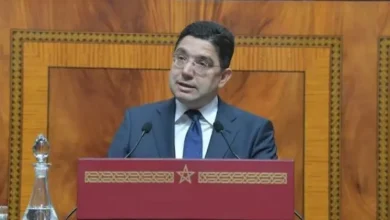 تعبئة 29 سفينة وتخصيص 24 مركز استقبال.. بوريطة يستعرض تفاصيل عملية "مرحبا"