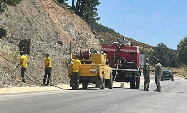 اندلاع حريق بغابة قرب مركز باب برد