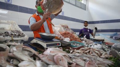 مليلية المحتلة تحت وطأة أزمة الأسماك قيود استيراد تضاعف الأزمات في الأسواق