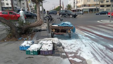 البيضاء.. احتراق “تريبورطور” محمّل بالسمك لمسنّ بحي بورنازيل – فيديو