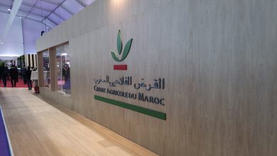 بنك القرض الفلاحي على صفيح ساخن.. الفلاحون غاضبون والمدراء راكموا الثروات