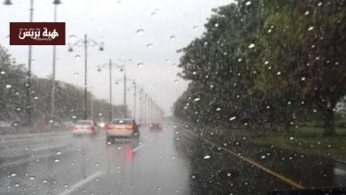 ضباب و زخات رعدية.. توقعات الطقس في المغرب لبداية هذا الأسبوع