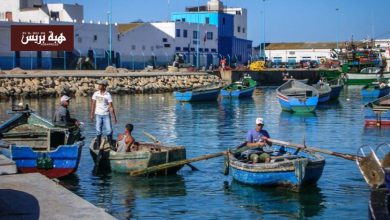 مفرغات الصيد البحري بميناء المضيق تصل إلى 1578 طناً